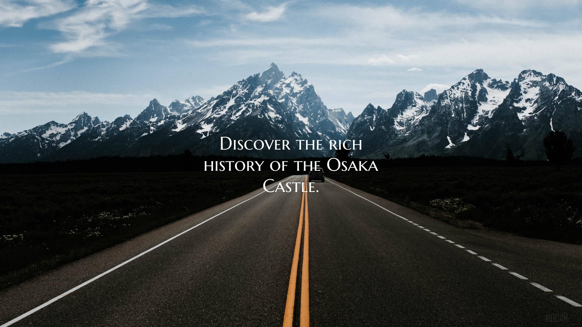 Discover the rich history of the Osaka Castle.