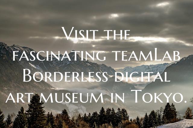 Visit the fascinating teamLab Borderless digital a...